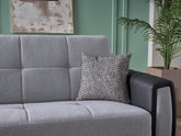 color_gray