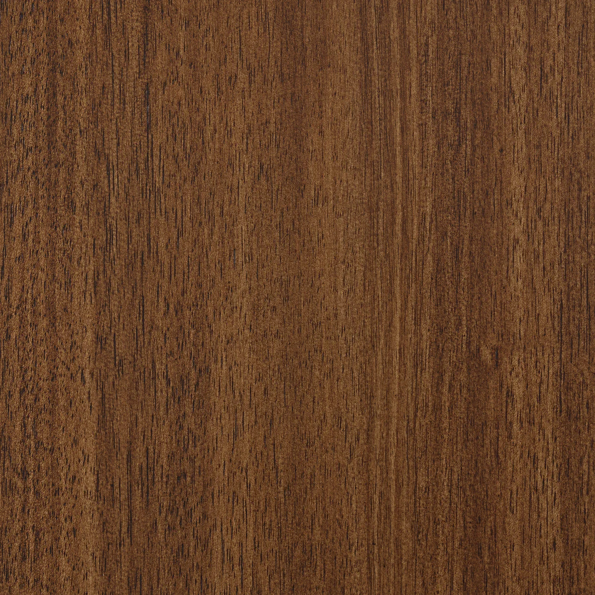 Lyncott Brown Dining Server