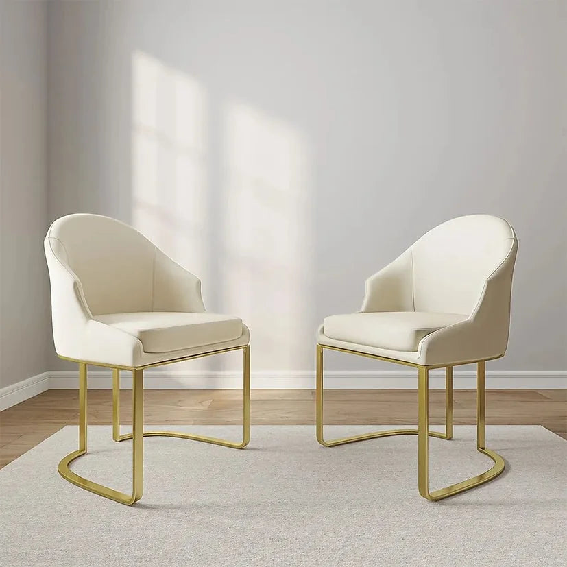 Arko Chairs Set of 2