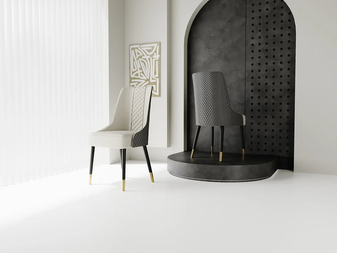 Rani Chair Set of 2