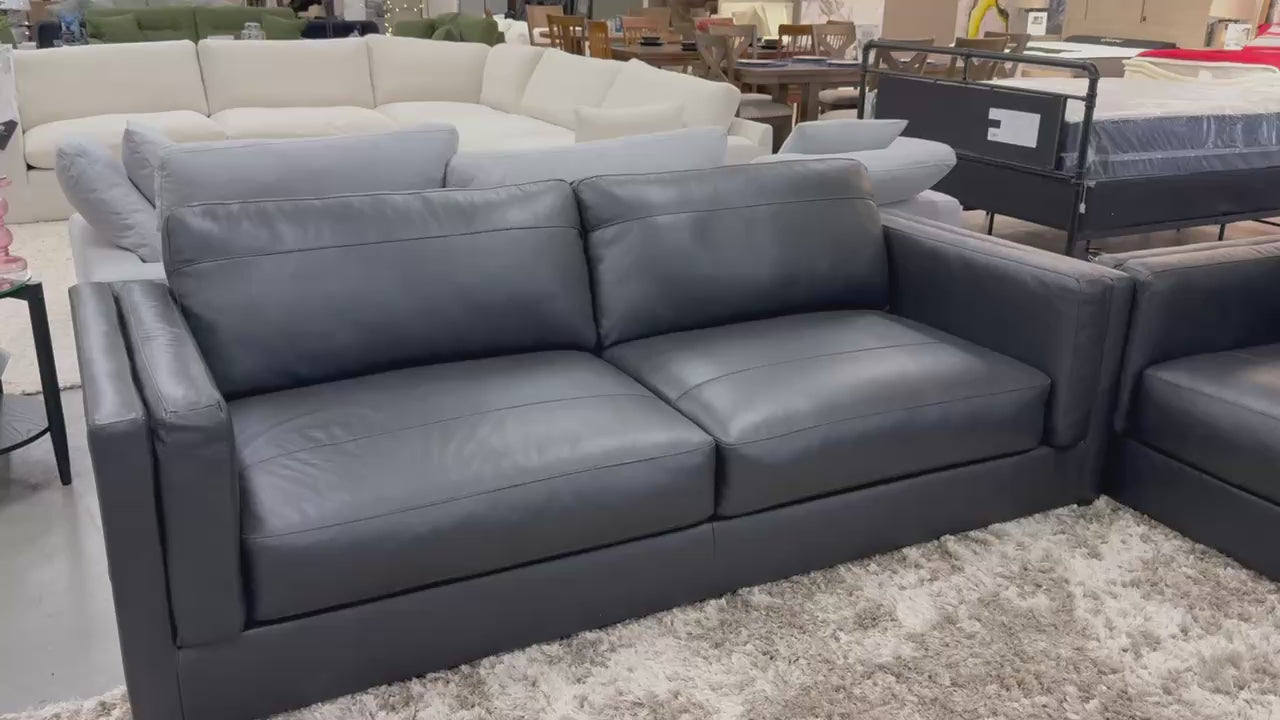 Amiata Onyx Sofa or Loveseat — Package Check