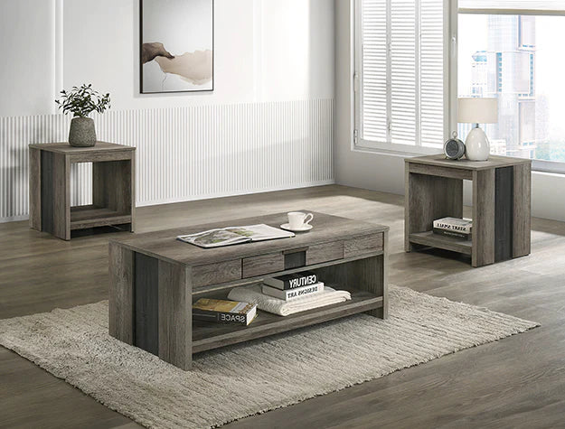 Rangley Gray 3-Piece Coffee & End Table Set